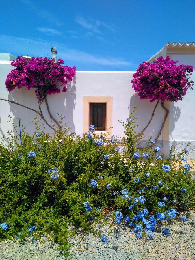Can Pep Pardal Sant Miquel De Balansat Luaran gambar