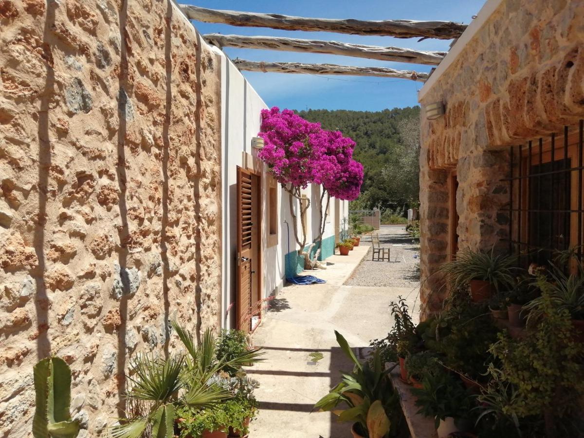 Can Pep Pardal Sant Miquel De Balansat Luaran gambar
