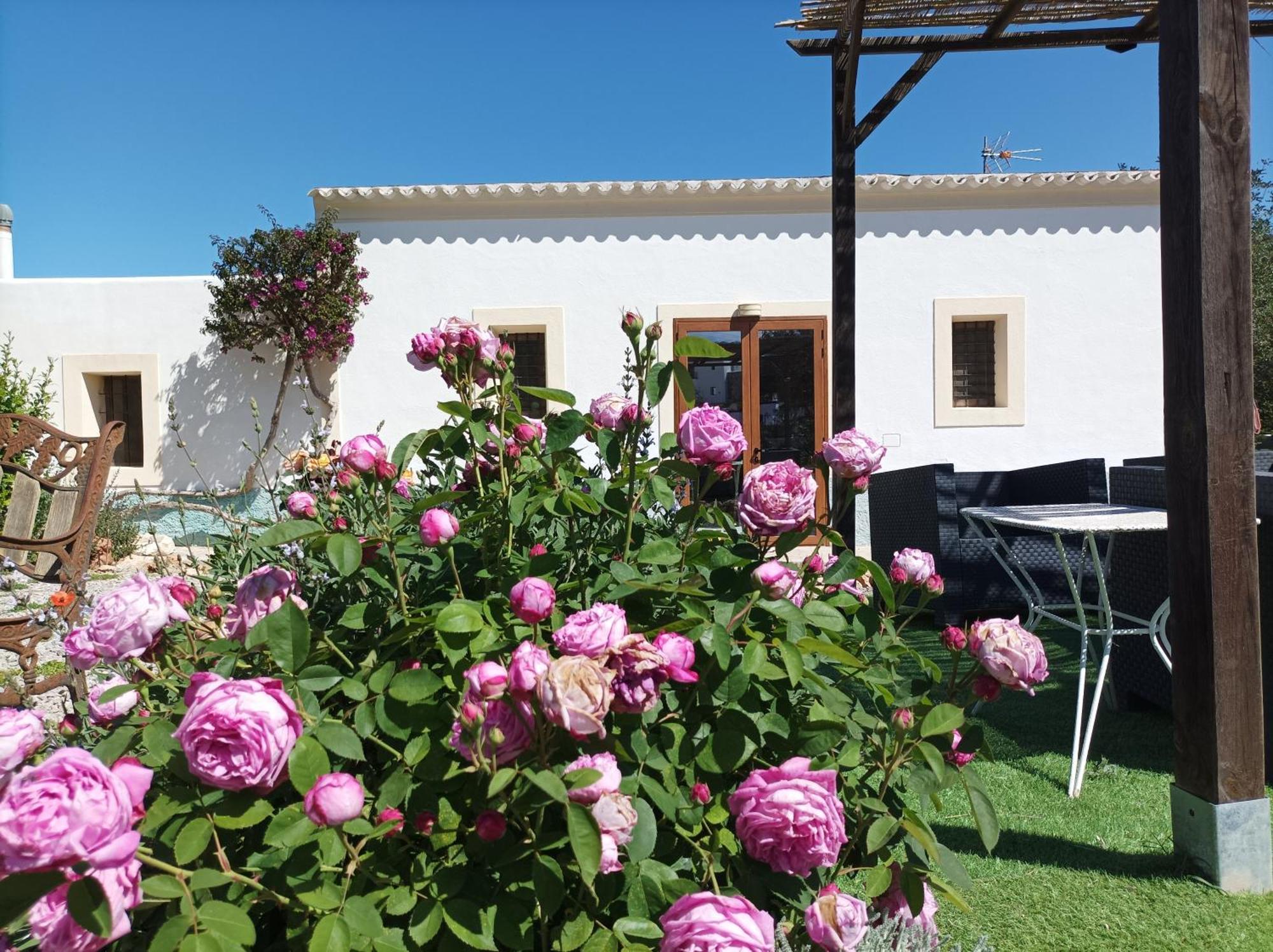 Can Pep Pardal Sant Miquel De Balansat Luaran gambar